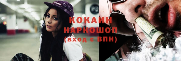 тгк Абаза