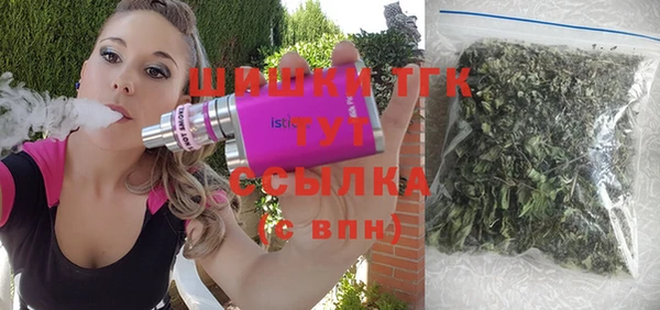 тгк Абаза