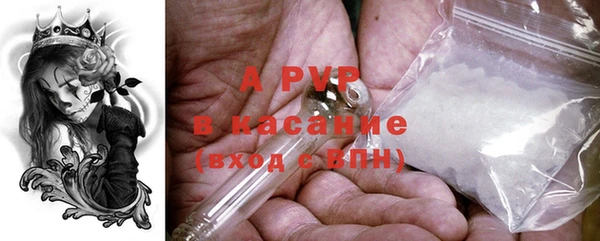 тгк Абаза