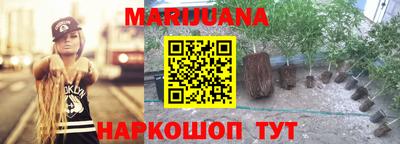 мяу мяу мука Малгобек
