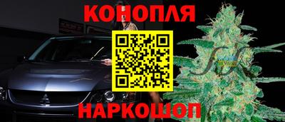 мяу мяу мука Малгобек