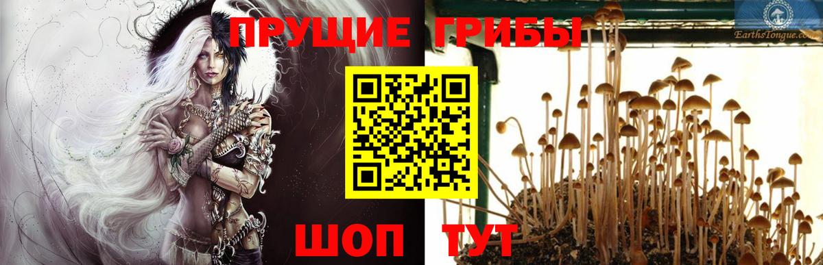 Орск  Псилоцибиновые грибы прущие грибы  Вход с VPN 
